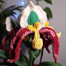 WhatsApp Image 2026-04-29 at 14.58.54 (4)